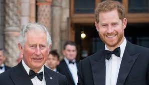 Prince Harry was criticized for leaving Prince Charles out of his UN speech