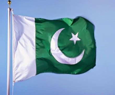 Pakistani Flag 1