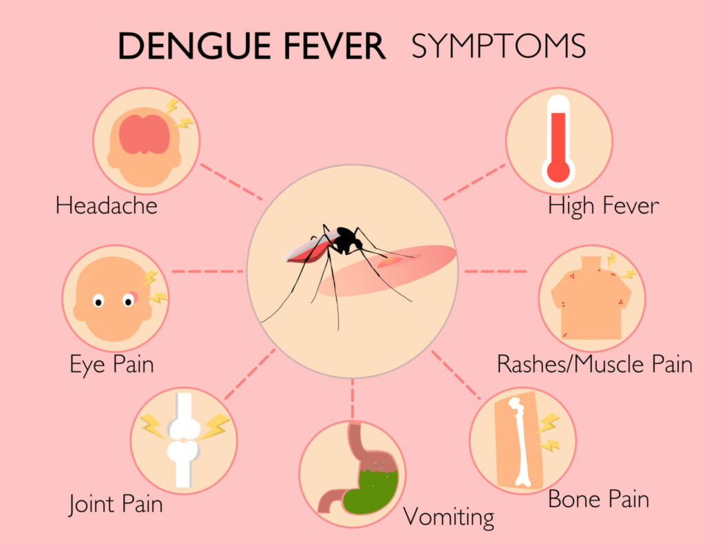 dengue fever causes scaled 2